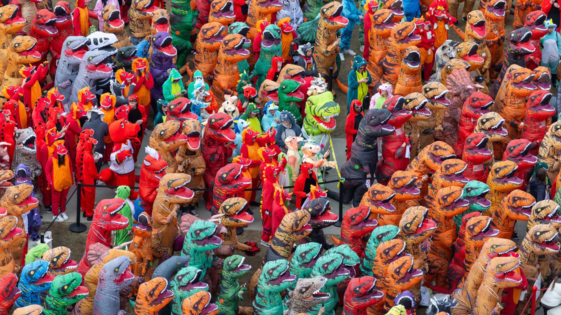 University of Calgary breaks record with 682 people dressed as dinosaurs